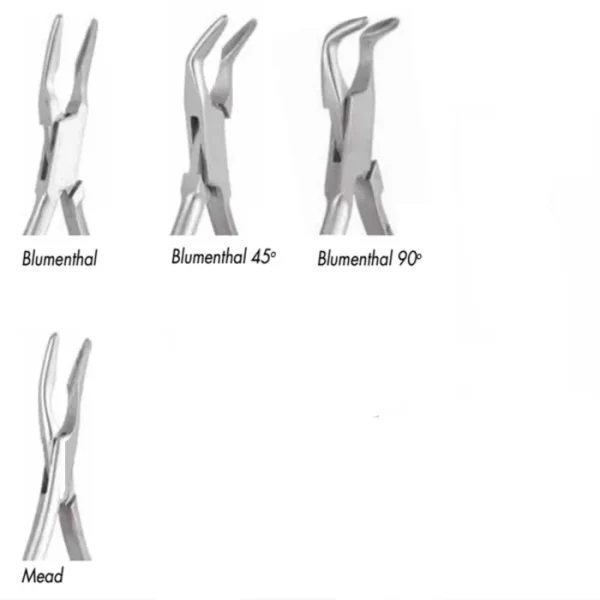 Bone Ronguer API - Image 2