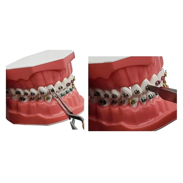 Bracket Holding GDC - Image 2