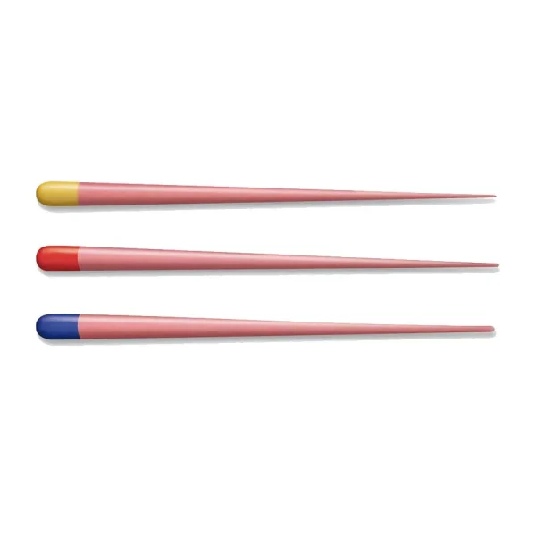 Dentsply Protaper Universal Gutta Percha Points - Image 5