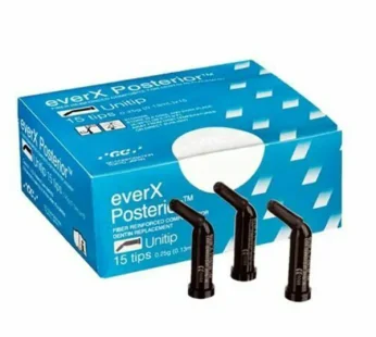 GC Everx Posterior