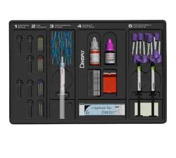 Dentsply Core & Post System Kit