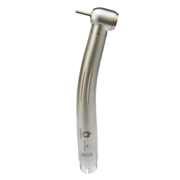 Apple Dent Std H/P