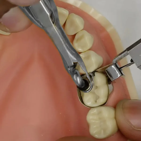 Amalgam Carrier - Image 2