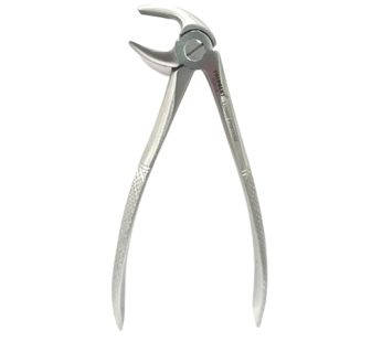 Polodent Forcep