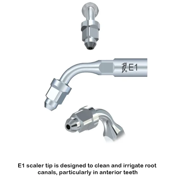 Scaling Tip E-1 Woodpecker - Image 7