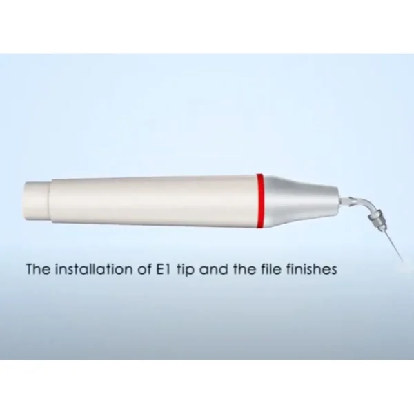 Scaling Tip E-1 Woodpecker - Image 3