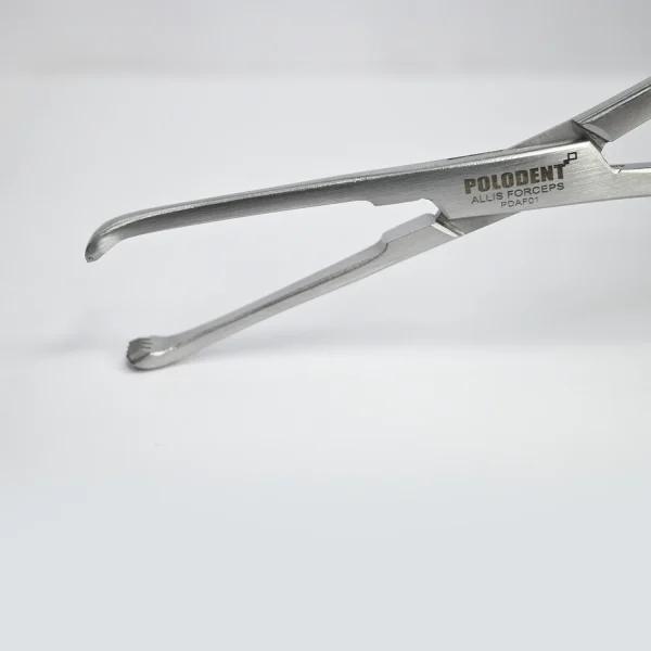 Polodent Allis Forcep - Image 6