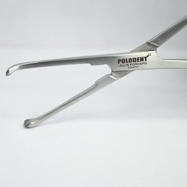 Polodent Allis Forcep - Image 2