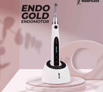 Endo Gold Woodpecker