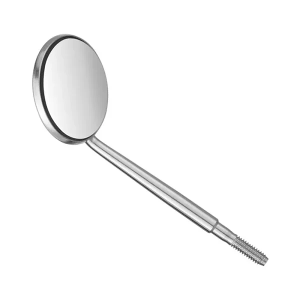 Mouth Mirror API