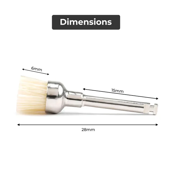 Cotisen Prophy Brush - Image 6