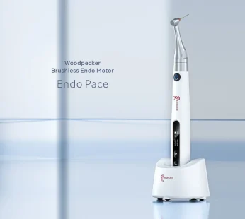 Endo Motor Endo Pace