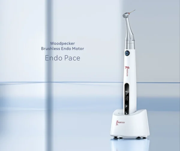 Endo Motor Endo Pace