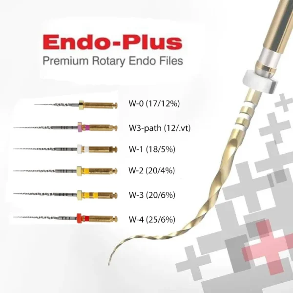 Endo Files Woodpecker - Image 4
