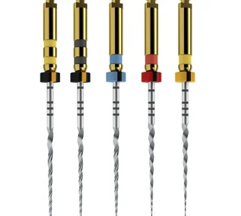 Protaper Next File