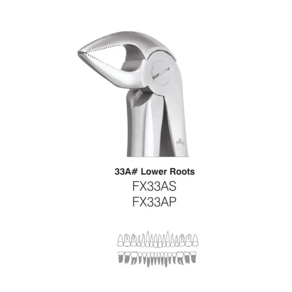 Forcep GDC - Image 3