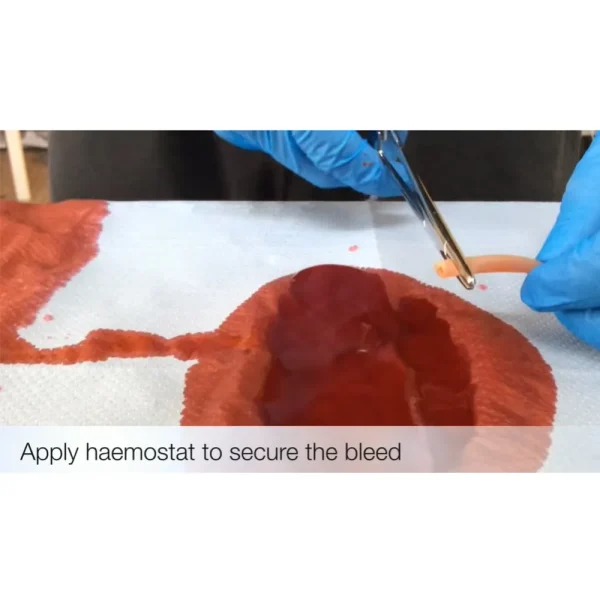 Gdc Hemostat - Image 3