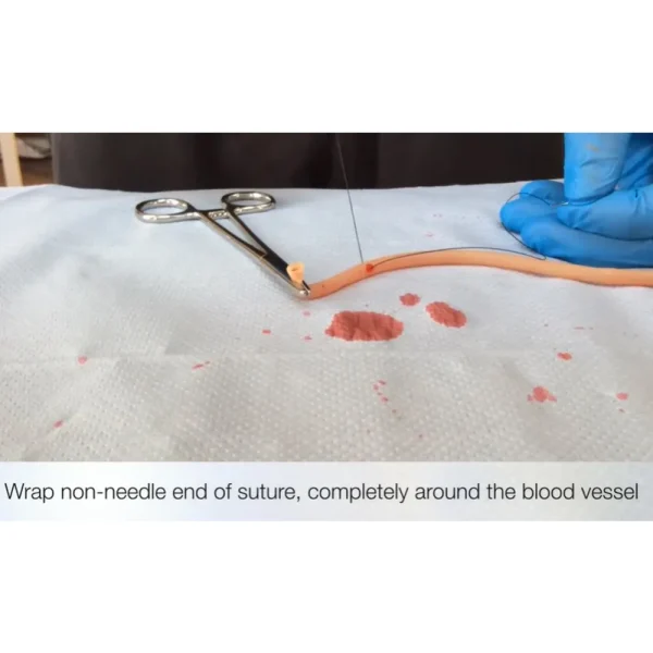 Gdc Hemostat - Image 2