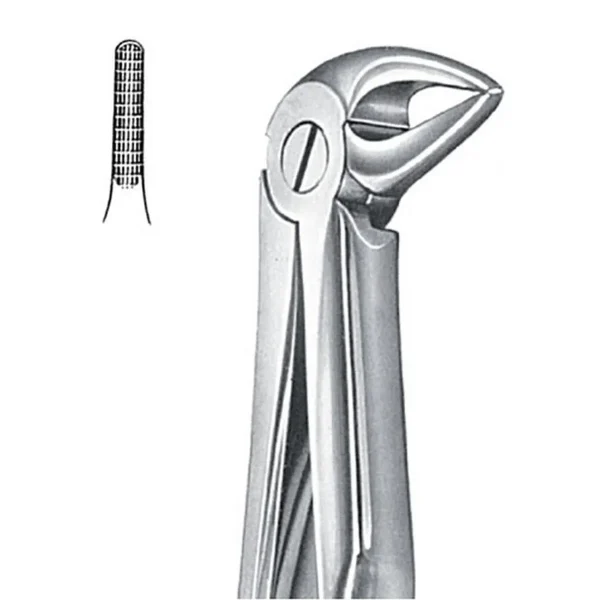 Forcep GDC - Image 2