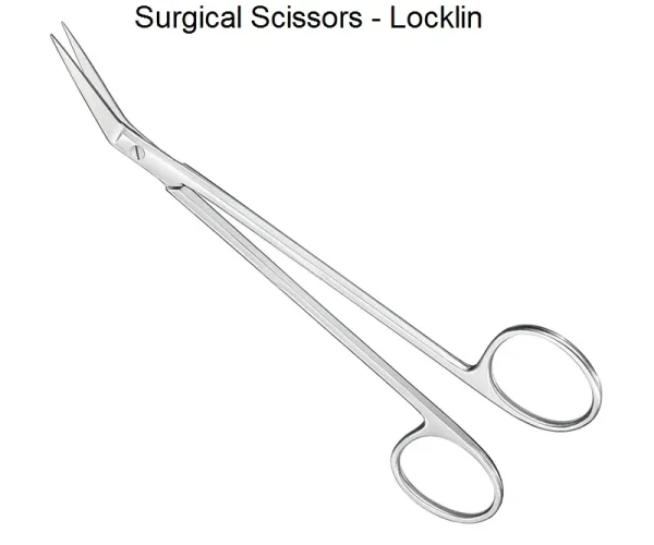 Gum Scissor API - Image 2