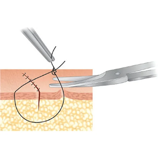Gdc Iris Scissor Curved/Straight - Image 3